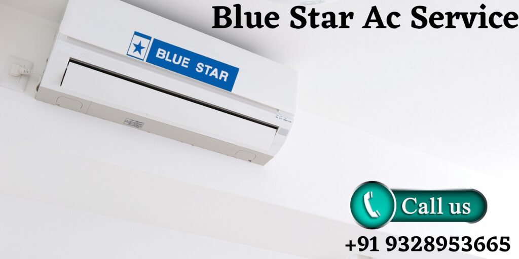 Blue Star Ac Service in Anand